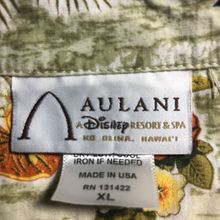 DISNEY AULANI