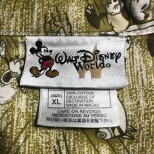 DISNEY WORLD
