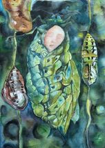 "CHRYSALIS", akvarell 30x40cm