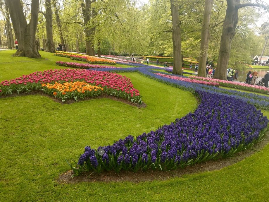 Blomsterparken Keukenhof
