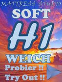 A3 H1