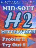 A3 H2