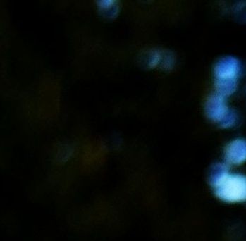 Die Lupe symbolisiert unsere Suche nach kreativen Menschen