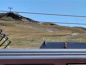 Visa biljetten i spärrarna om du vill gå av