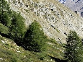 Leisee, zermattbornas badsjö