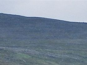 Väg 8