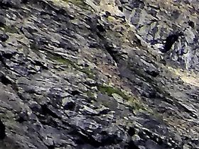 Pga avsmältning har det blivit ett glapp mellan den stora glaciären och den lilla som mynnar i havet