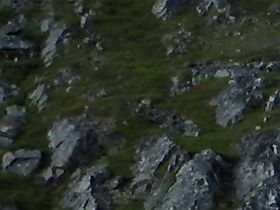 Hotel Nordkyn Kjöllefjord