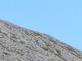 Kjöllefjord med hotell Nordkyn mitt i bild