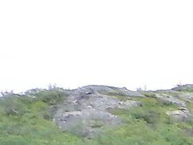 Nej vi hittade inget fjell...........