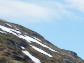 Smal anläggningsväg upp genom bergen för att de Svartisen (stor glaciär)