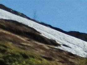 Men här blev det stopp; snön låg kvar på vägen (juni)