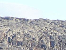 Titta noga; massor av fritidshus i terrängen . Björnfjell,Norge