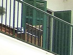 Ombyte till spårvagn för färd till Puerta de Soller  (hamnstaden Soller)