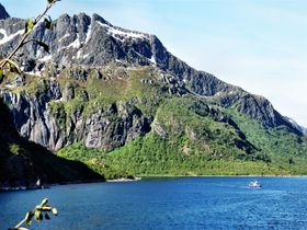 Båt med Hurtigrutepassagerare på örnsafari