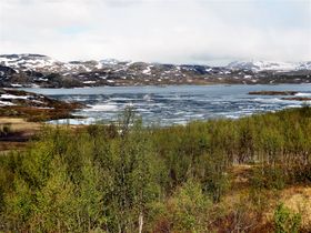 Isen ligger delvis kvar på Torneträsk