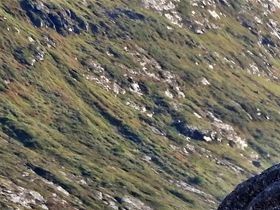 Minnesmärke över den norske poeten Aasmund Olavsson Vinje