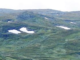 Sognefjellsvegen
