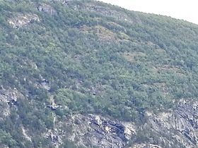 Norsk vildlaxcenter Laerdal