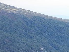 På väg mot Flåm; bergsvägen