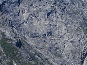 Häftiga troll