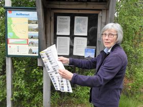 Info om Fjället Heilhornet, intill vägen mot färjeläge Holm