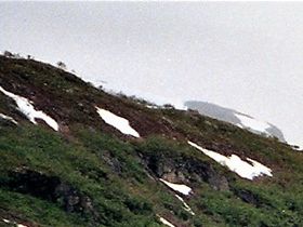 Utsikt från Myrdal station