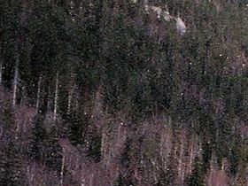 Semesterstugor Rjukan (ingen snö i byn.....)