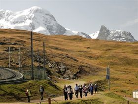 Turistgrupp på väg från Rotenboden till Riffelberg