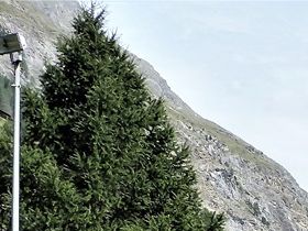 Vandringsleder i Zermatts omedelbara närhet