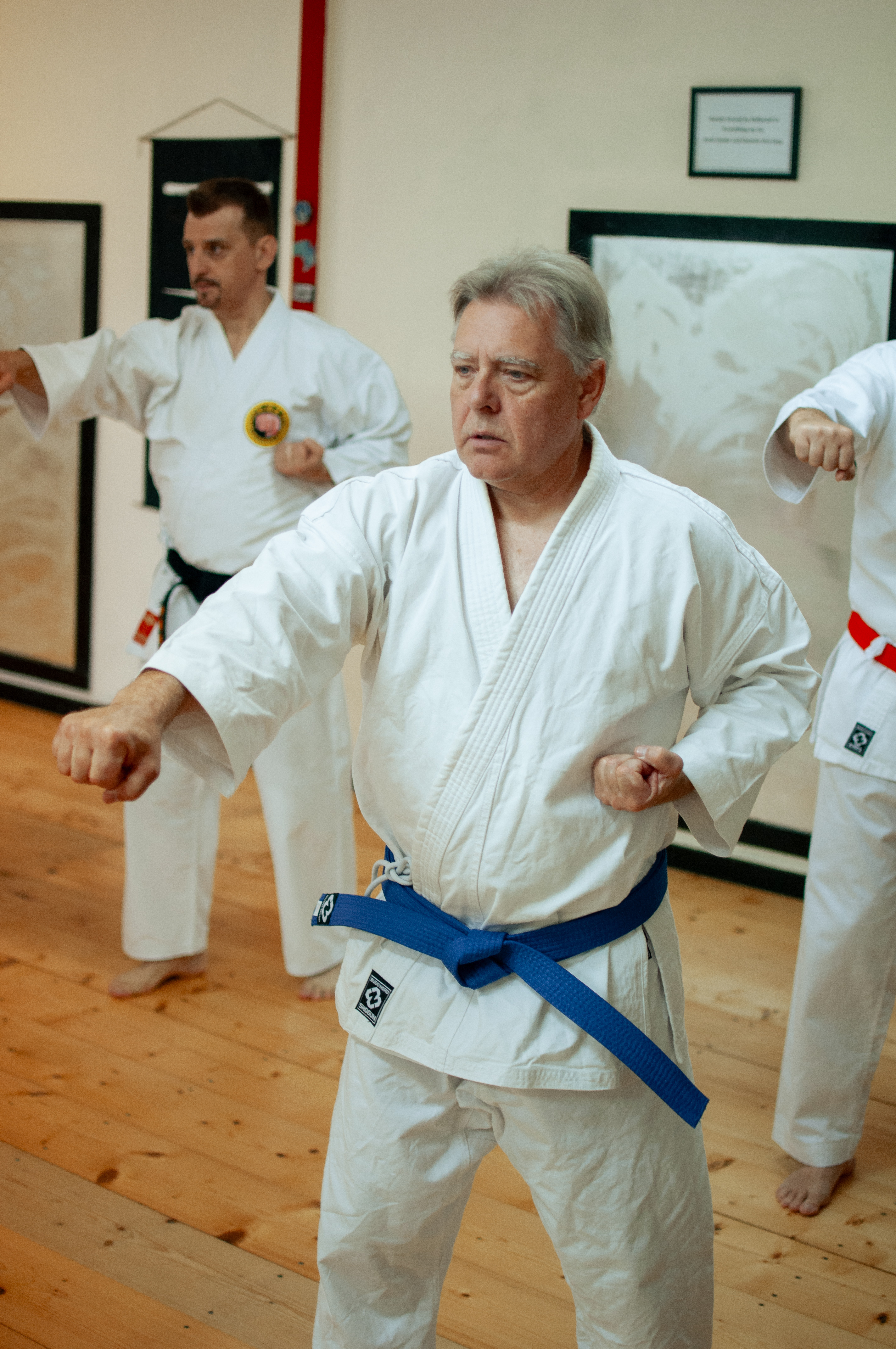 Uppsala karate