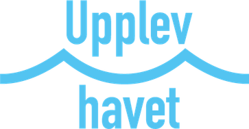 Upplev Havet