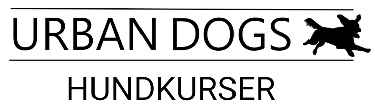 URBAN DOGS Hundkurs i Stockholm