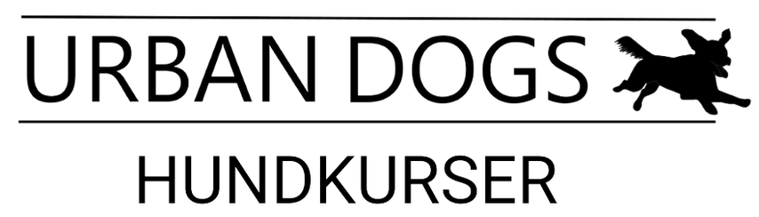URBAN DOGS Hundkurs i Stockholm