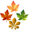 urban leafs