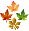urban leafs