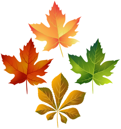 urban leafs