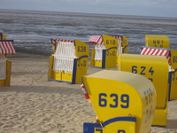 Deichkieker (12)