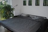 Steinlage (12)