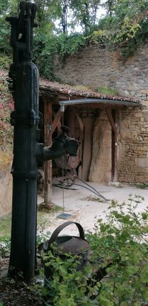 IMG_1104