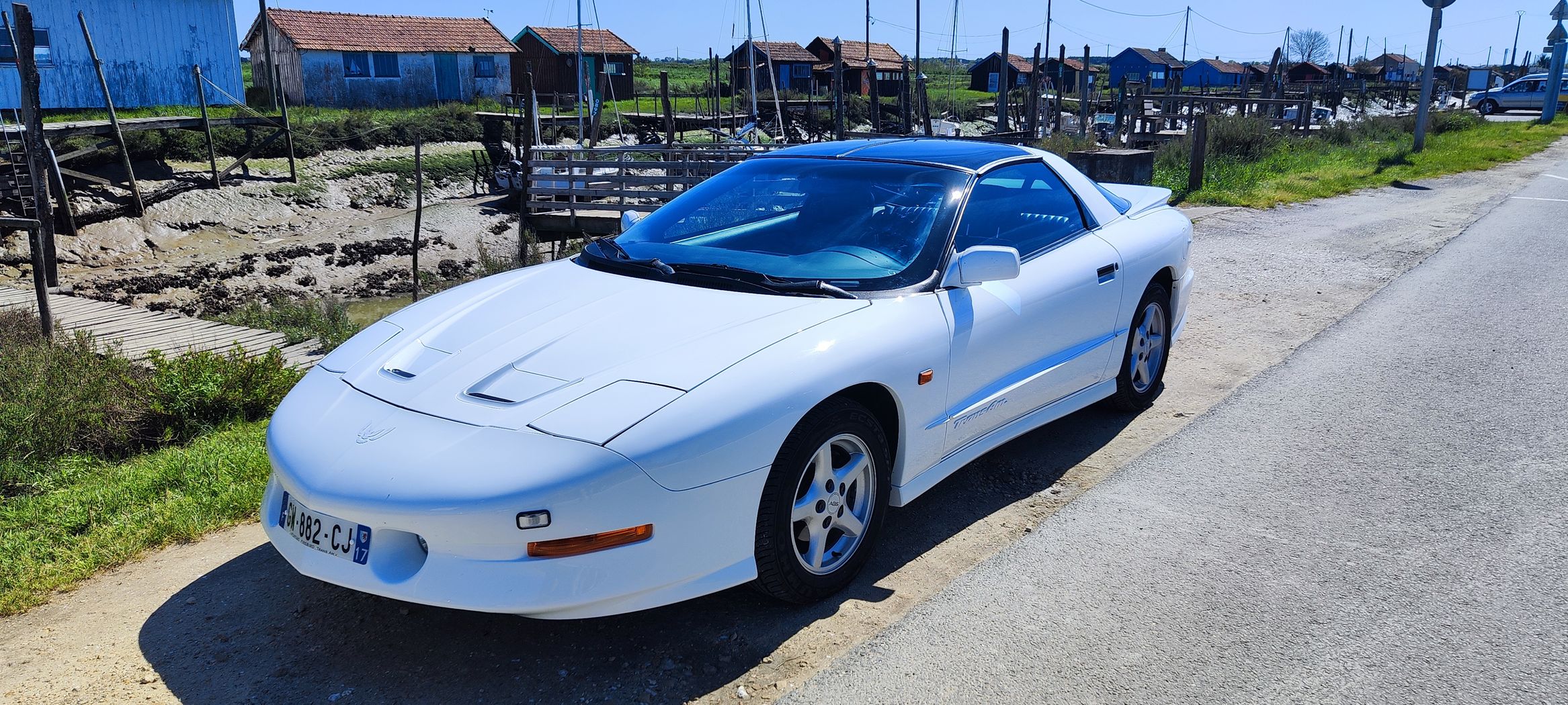 Pontiac Firebird Trans Am 4