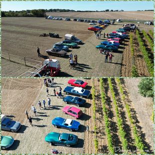 Merci Dany's drone