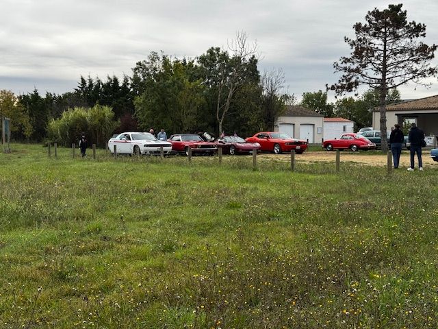 image13