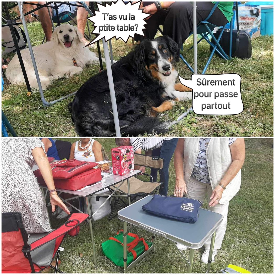 table passe partout