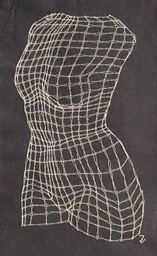 Torso