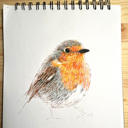 robin