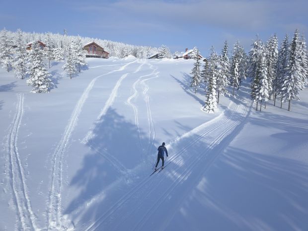 Skidspår upp mot stugan