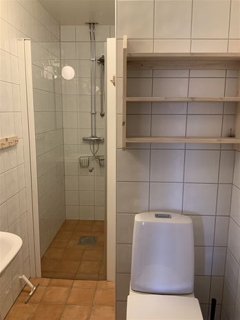 Lilla badrummet med dusch
