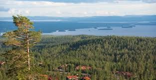 Utsikt sommartid