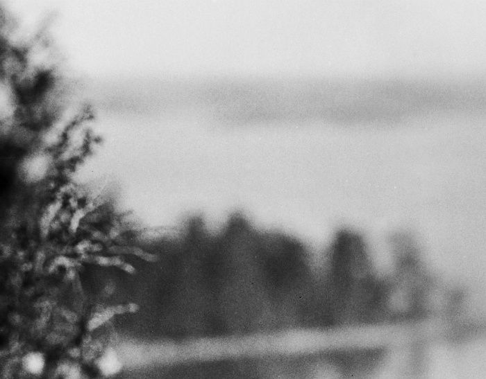 Ung pilgrimsfalk 1956 (Prisbelönt i U.S. Camera)